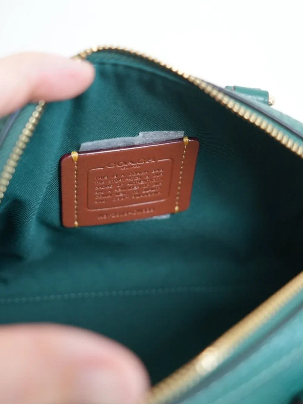 Coach CW328 Mini Rowan Crossbody Bag in Emerald NWT